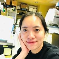 Yao Li